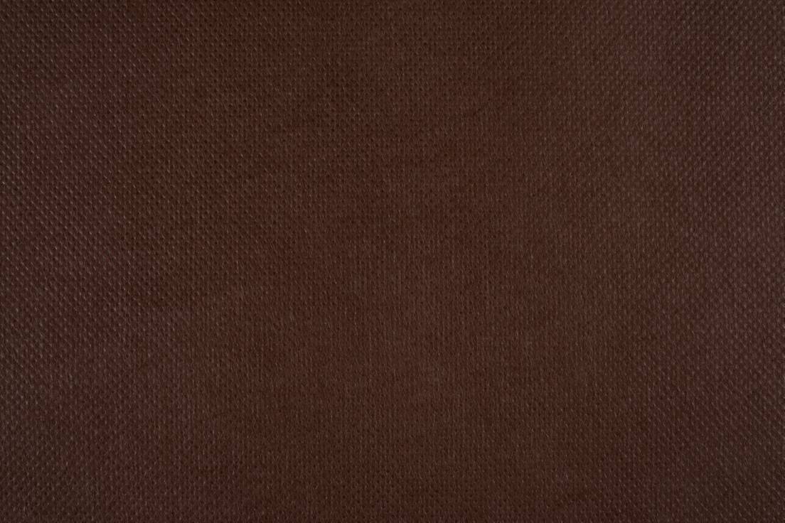 color-item-219