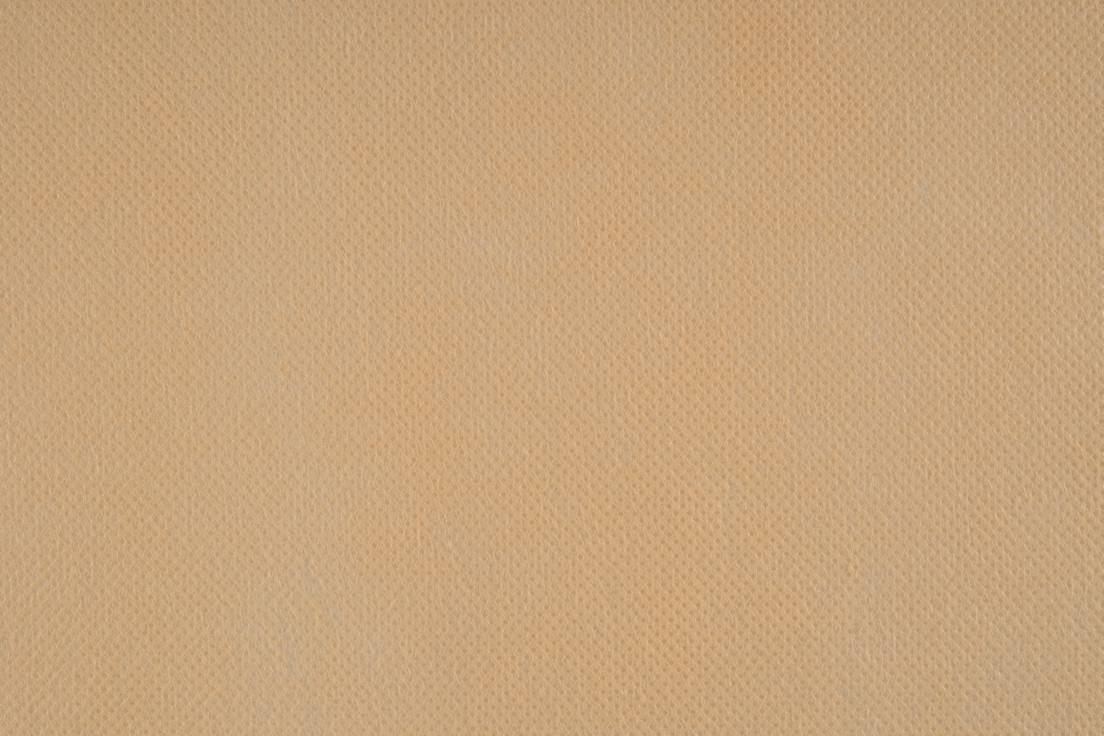 color-item-435